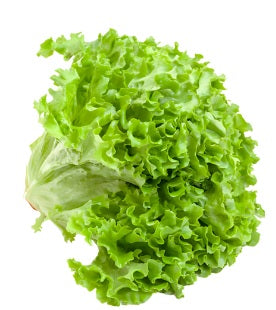 ALFACE FRISADA VERDE