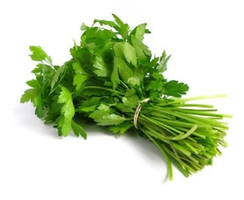 COENTROS FRESCOS PRODUTO LOCAL