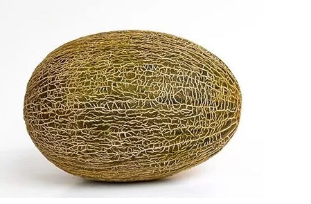 MELÃO VERDE/PELE SAPO