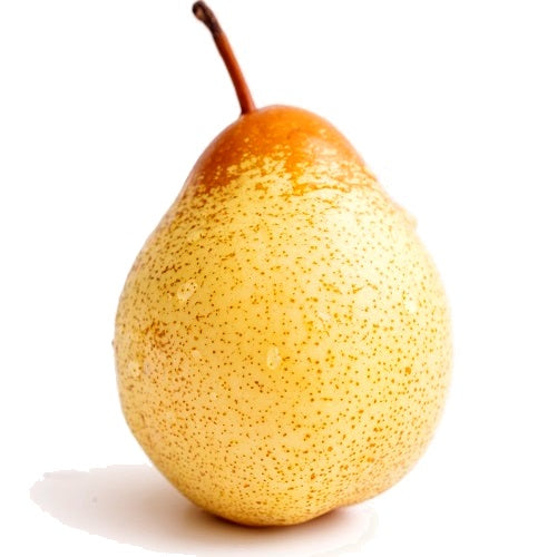 PERA ROCHA (DOP OESTE)