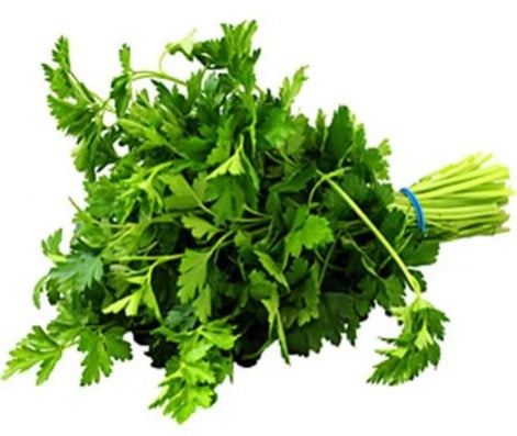 SALSA FRESCA PRODUTO LOCAL